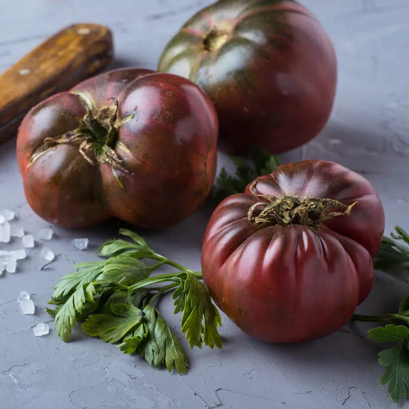 GRAINES de Tomate Noire de Crimée + Conseils - Monde Végétal