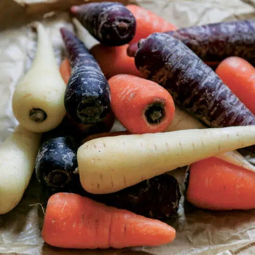 Trio de carottes présemé bio