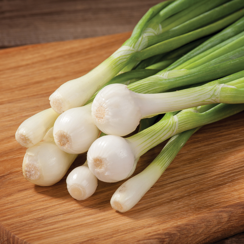 Trio velouté présemé bio