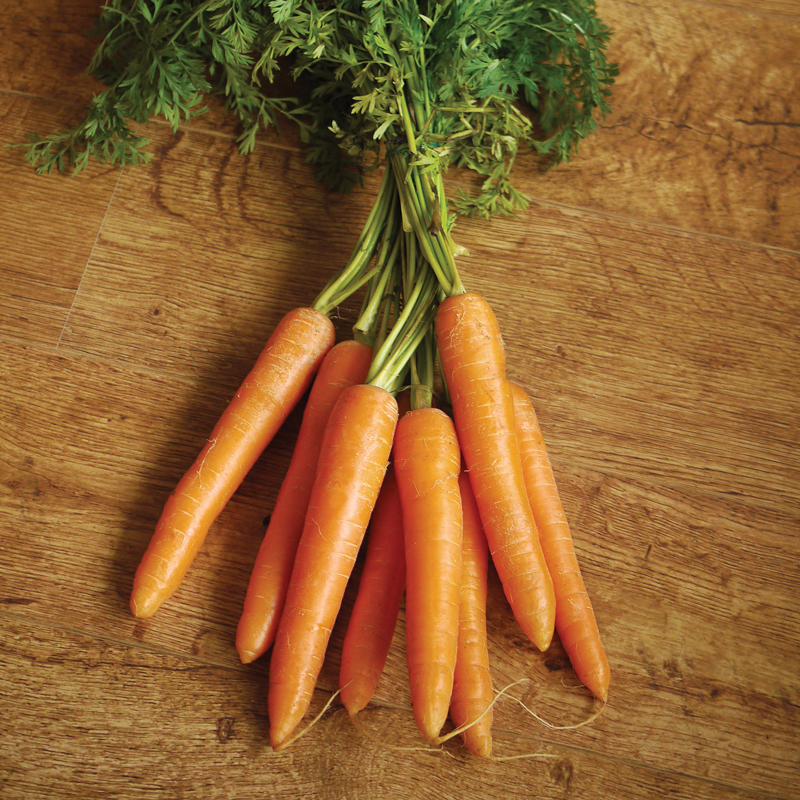 Trio velouté présemé bio