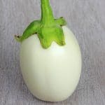Aubergine blanche ronde à œuf