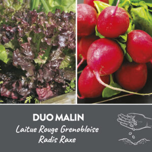 Duo malin présemé bio
