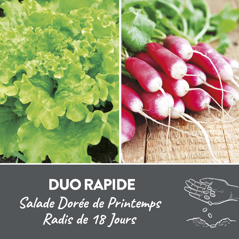 Duo rapide présemé bio