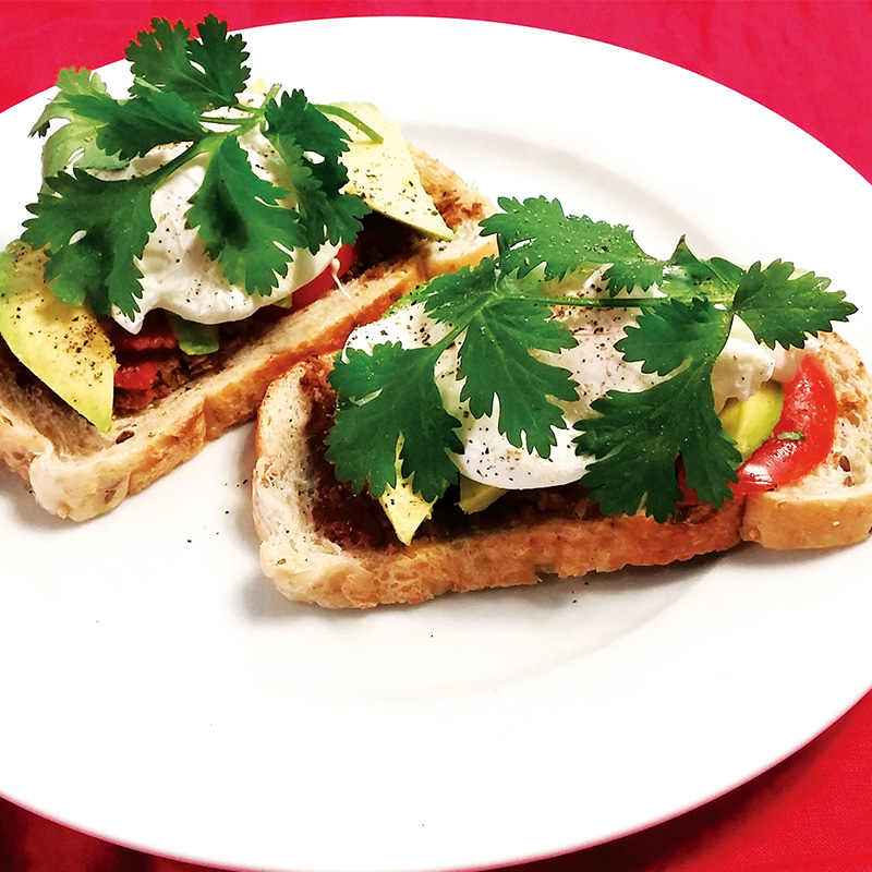 Coriandre à petite graine présemé bio