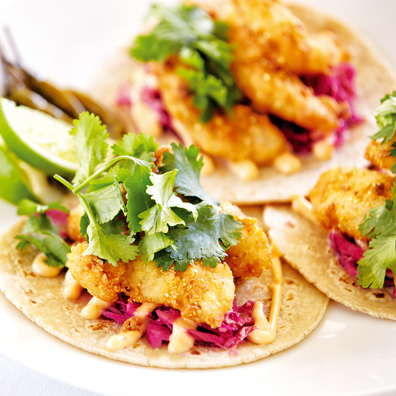 Coriandre cultivée bio