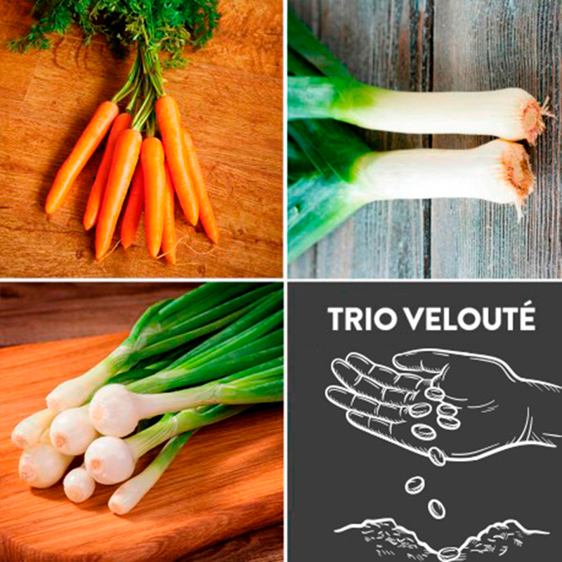 Trio Velouté présemé bio