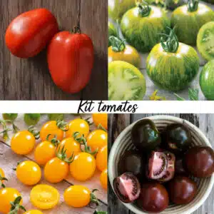 Kit tomates