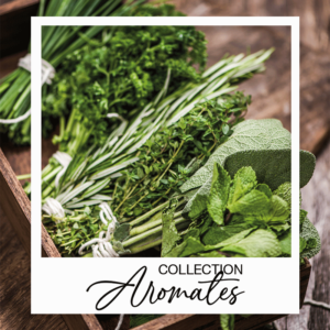 Collection graines d'aromates