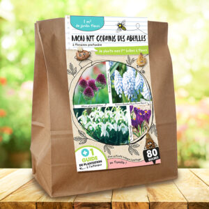 MON KIT copains des abeilles