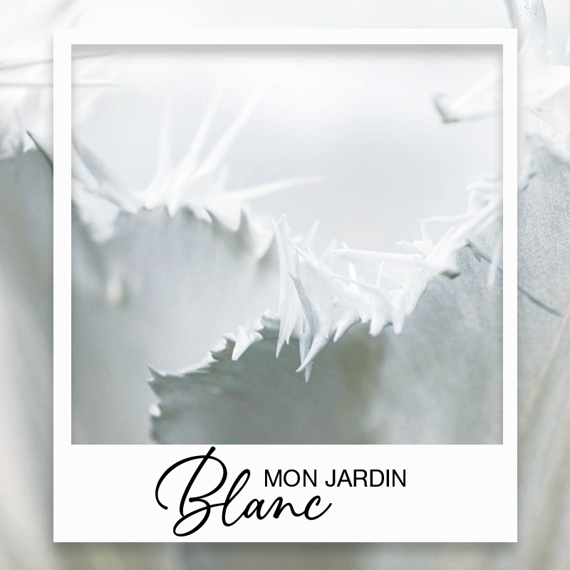 Collection Jardin blanc