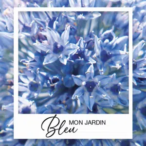 Collection Jardin Bleu