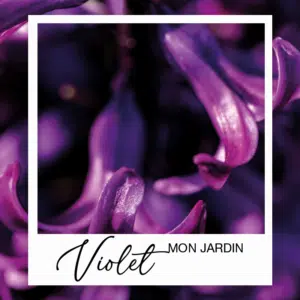 Collection Jardin Violet