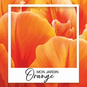 Collection Jardin Orange