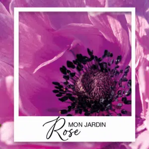 Collection Jardin Rose