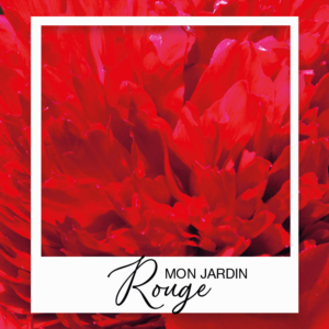 mon-jardin-rouge