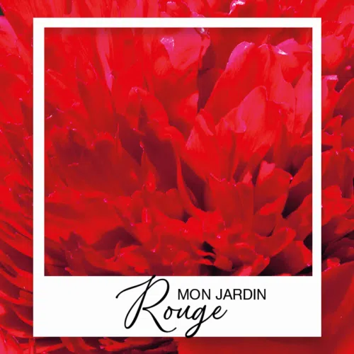 mon-jardin-rouge