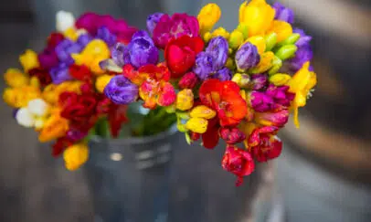 Freesia en bouquets