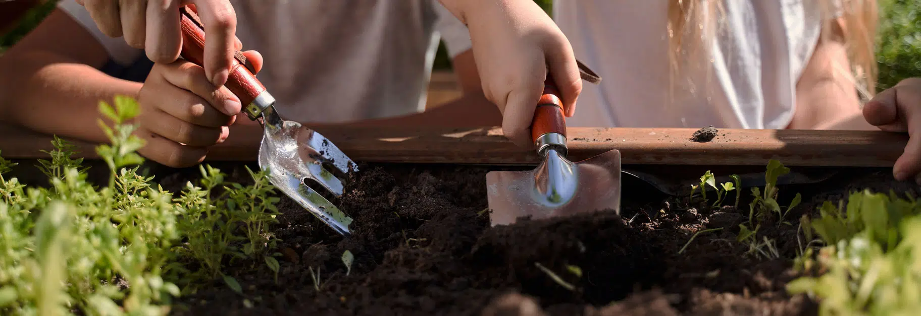 Plantation bulbes et semences enfant