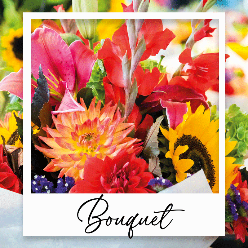 Collection Bouquet d'été
