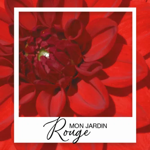 Collection été Jardin Rouge