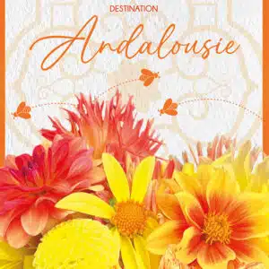 Assortiment de dahlias Andalousie: 4 touches de soleil pour votre jardin