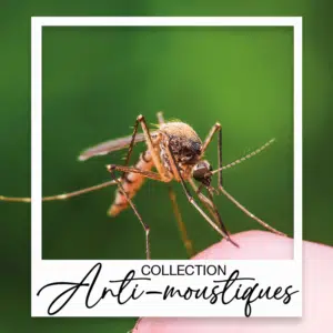 Collection graines "anti-moustiques"