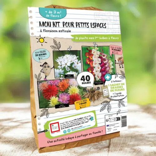 MON KIT pour petits espaces urbains printemps