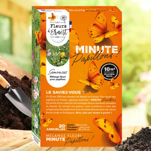 Mélange fleuri Minute Papillons !