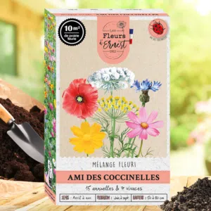 Mélange fleuri Ami des coccinelles