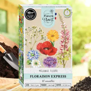 Mélange fleuri Floraison express