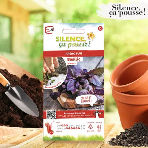 Basilic Pourpre Silence ça Pousse !