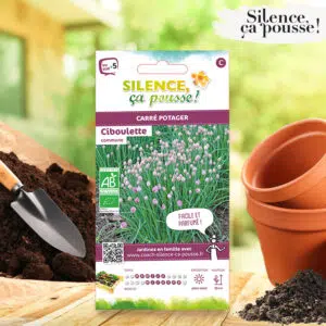 Ciboulette Commune Bio Silence ça Pousse !