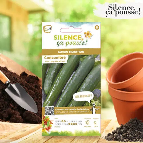 Concombre Vert long maraîcher Silence ça Pousse !