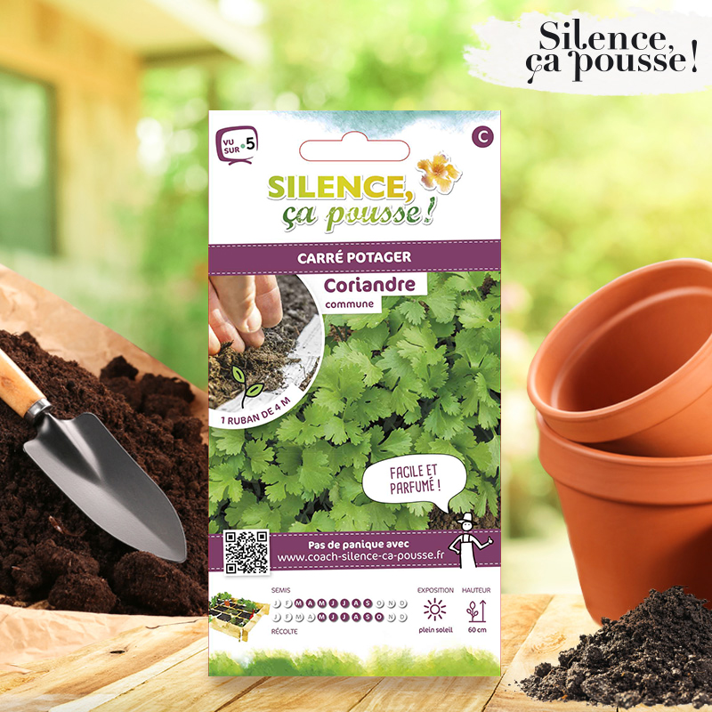 Coriandre Commune présemé Silence ça Pousse !