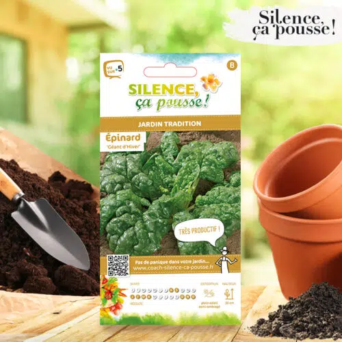 Épinard Géant d'Hiver Silence ça Pousse !