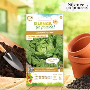 Laitue pommée Appia Silence ça Pousse !