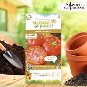 Tomate Marmande VR Silence ça Pousse !