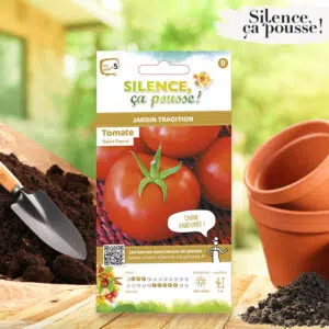 Tomate Saint Pierre Silence ça Pousse !