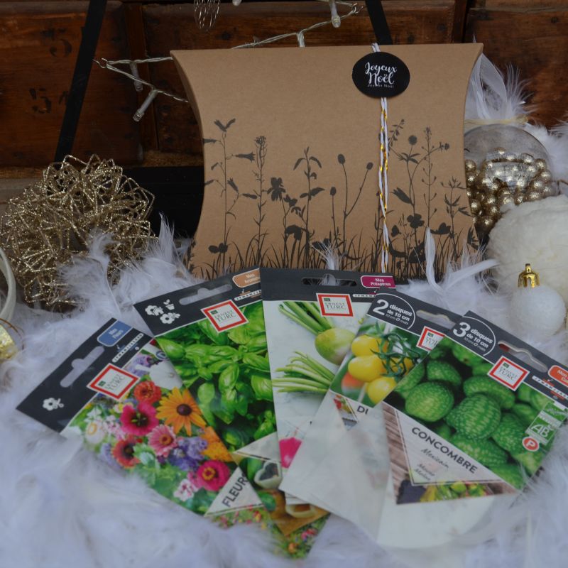 Assortiment de graines à offrir