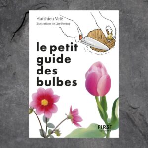Le petit guide des bulbes