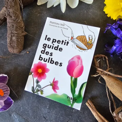 Le petit guide des bulbes