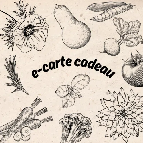 E-Carte Cadeau