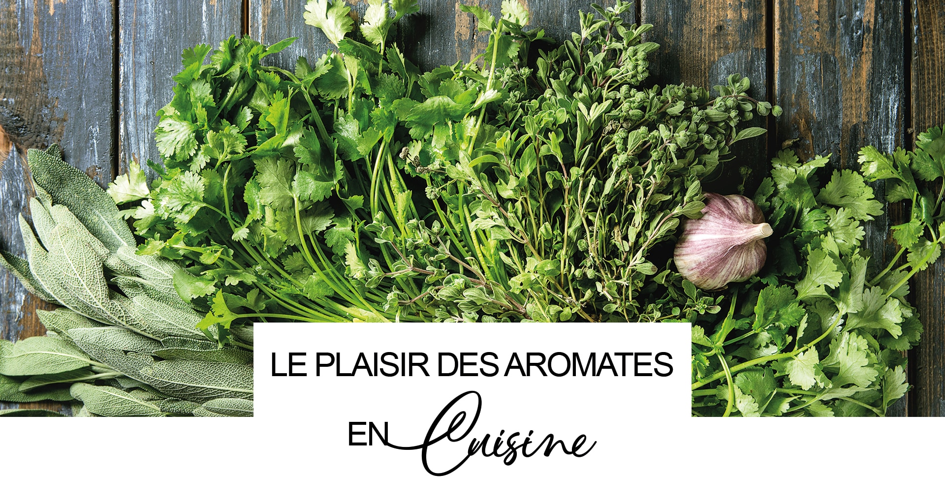 Romarin : frais, séché, avec du poisson, en tisane, en cuisine